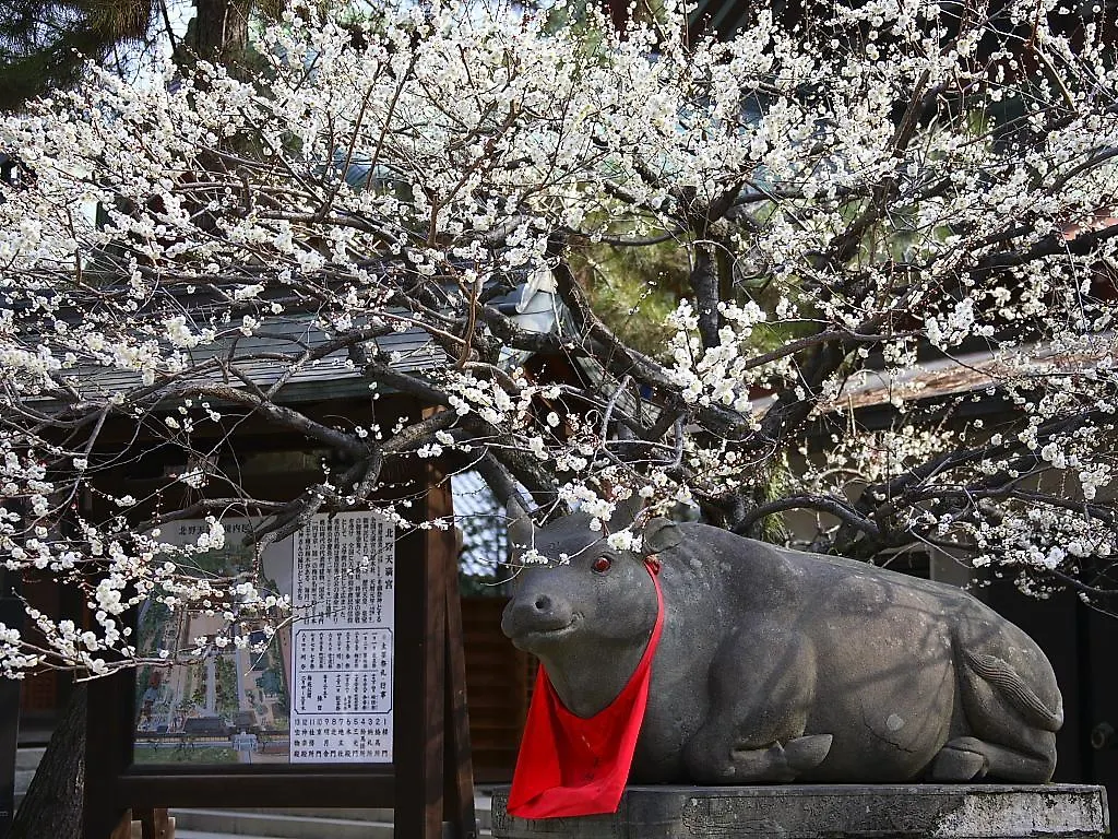 Holiday home Guesthouse Iloha Kyoto Japan